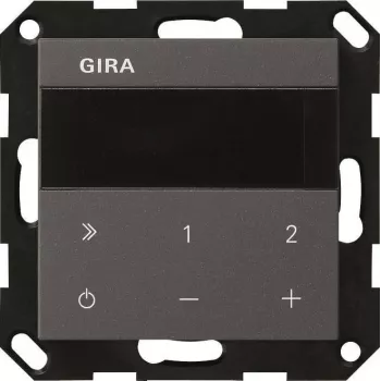 Rádio de encastrar GIRA 232028 IP System 55 antracite