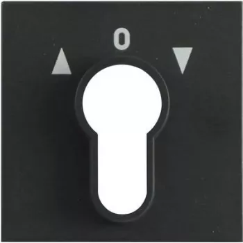 Gira Tampa para Interruptor de Chave, System 55, Antracite 066428