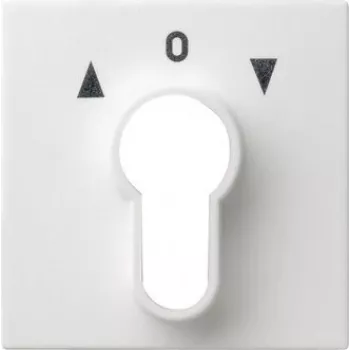 Placa de cobertura Gira para interruptor de chave, System 55, branco puro (066427)