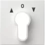 Placa de cobertura Gira para interruptor de chave, System 55, branco puro (066427)
