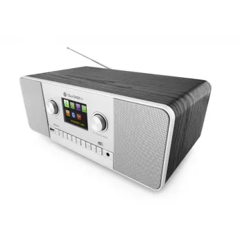 Rádio digital internet GoGen IR 257 BTDAB prateado