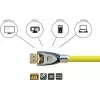 GoodConnections Alcasa Python Cabo DisplayPort 1.4 8K 60Hz 2m macho a macho Dourado GC-M0074