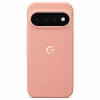 Capa Google Pixel 11 Pro XL Canyon CGY4 5B05