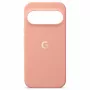 Capa Google Pixel 11 Pro XL Canyon CGY4 5B05