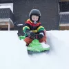 Hamax Sno Zebra Snow Racer verde polietileno