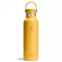 Garrafa Hydro Flask 620 ml Standard Flex Cap 21 OZ Sunbeam