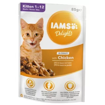 IAMS Delights Kitten Frango em molho Alimento húmido para gatos, 12 x 85g saquetas