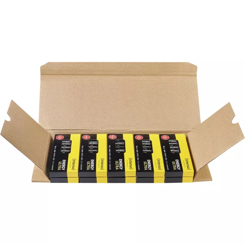 INTENSO Energy Ultra AAA LR03 Pilhas Alcalinas (100 unidades)