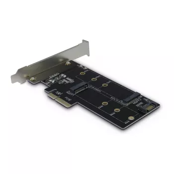 Inter-Tech Placa adaptadora PCIe KT015 PCIe x4 para M.2 NVMe + SATA para M.2