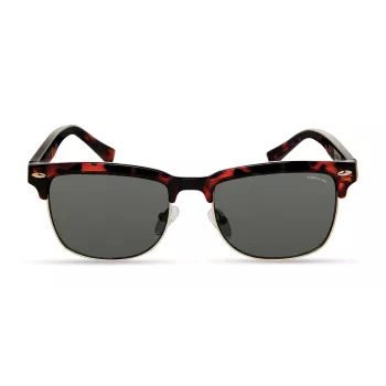 Óculos de sol de homem KENNETH COLE KC2972-5352N Havana castanho 53 mm