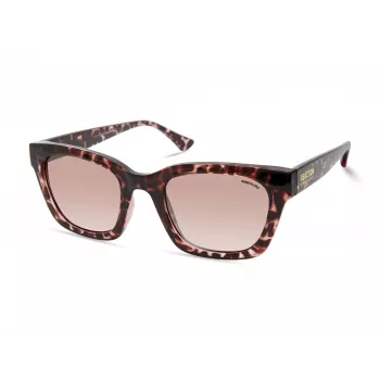 KENNETH COLE Óculos de sol de mulher KC2964-5074F Havana castanho degradê 50 mm