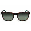 Óculos de sol de homem Lacoste L956S-230 Havana castanho retangular acetato 55mm