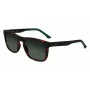 Óculos de sol de homem Lacoste L956S-230 Havana castanho retangular acetato 55mm
