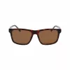 Óculos de sol de homem Lacoste L6025S-219 Havana verde 56mm