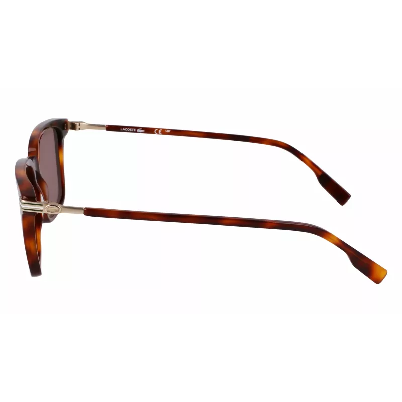 Óculos de sol Lacoste homem L6035S5318214 - armação de acetato Havana, lentes castanhas, 53 mm