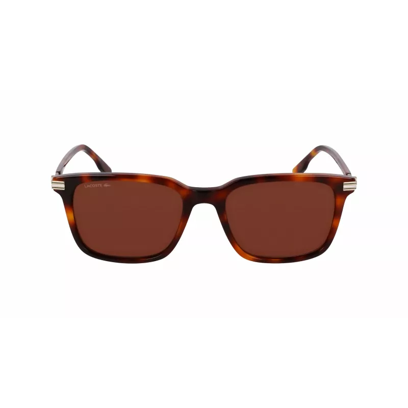Óculos de sol Lacoste homem L6035S5318214 - armação de acetato Havana, lentes castanhas, 53 mm
