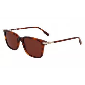 Óculos de sol Lacoste homem L6035S5318214 - armação de acetato Havana, lentes castanhas, 53 mm