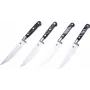 Conjunto de 4 facas de bife Laguiole com cabo em resina
