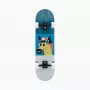 Landyachtz ATV Classic Fern skate