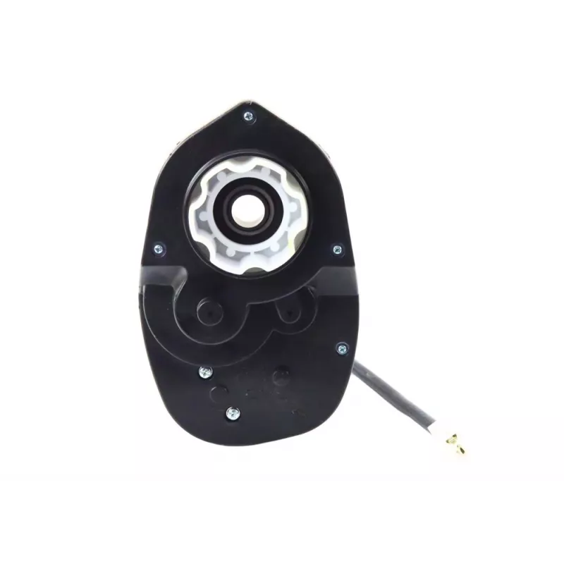 Lean Toys SX1968 Motor de tração 24V para carro elétrico infantil