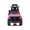 LEAN CARS Megafone para carro QLS-993 rosa