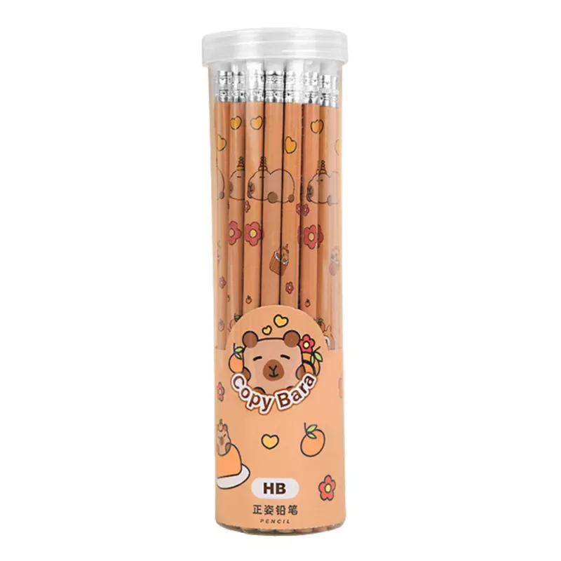 LEAN conjunto com 30 lápis de grafite HB e borracha capivara num tubo
