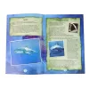 LEAN TOYS Kit Educativo de Escavação Amonite Tubarão