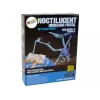 LEAN TOYS Conjunto de Escavação Arqueológica Esqueleto de Dinossauro Pteranodon Holograma 3D