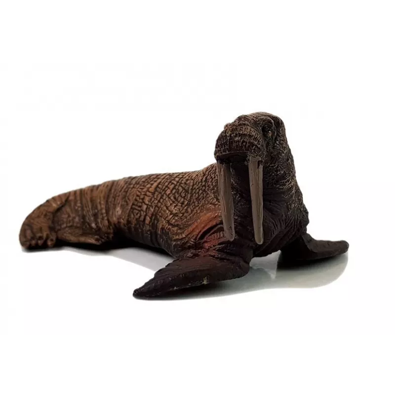LEAN TOYS Figuras Didáticas Animais Marinhos 8 peças Tubarões Foca Golfinho Morsa Tartaruga