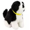 LEAN TOYS Cão de Peluche Interativo com Pelo Macio, Raça Border Collie