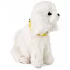 LEAN TOYS Cão de Peluche Interativo com Pelo Macio, Caniche, Fazer Festas na Cabeça e Descobrir Funções