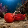 LEAN TOYS Jellyfish Figura de borracha esticável animal marinho realista 9 cm