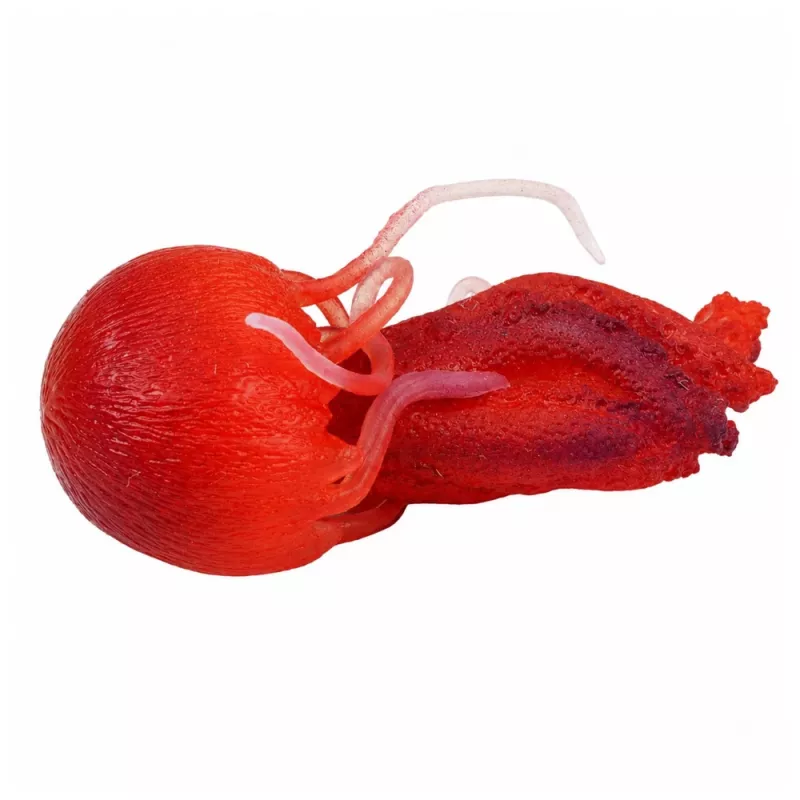 LEAN TOYS Jellyfish Figura de borracha esticável animal marinho realista 9 cm