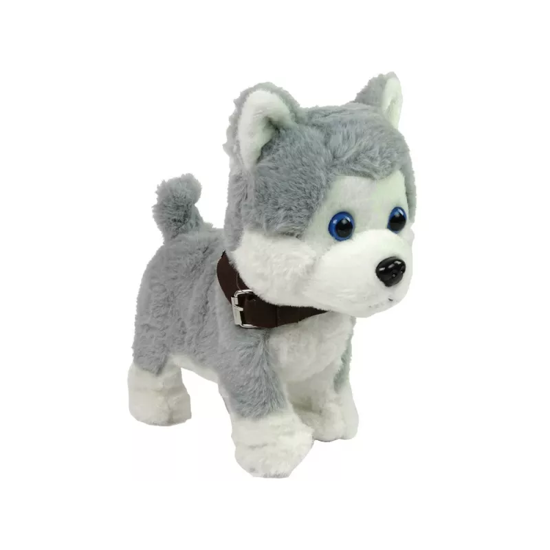 LEAN TOYS Cão de peluche interativo educativo trela canções passeios