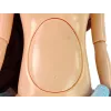LEAN TOYS Boneca Bebé Mamã Grávida com Barriga de Abertura e Vestido Azul 30 cm