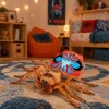 LEAN TOYS Spider Tarantula Figura de borracha esticável realista 12 cm