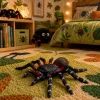 LEAN TOYS Spider Tarantula Figura de borracha esticável realista preta 10 cm