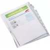 LEITZ A4 10 pastas de arquivo com separadores, polipropileno transparente, abertas em cima, com abas para etiquetas 4754-00-03