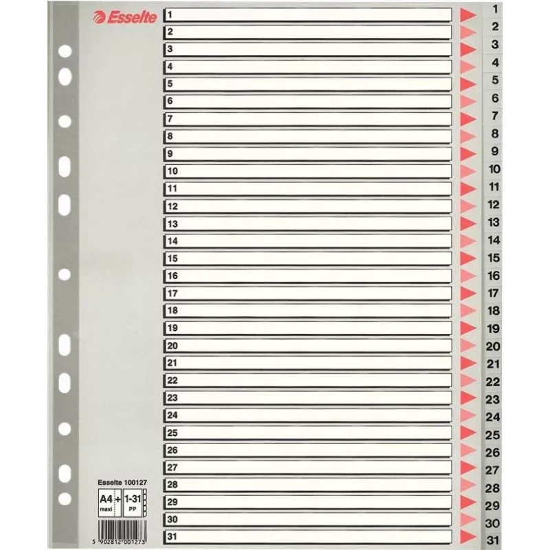LEITZ A4 Separadores de plástico em branco extra largos, 20 partes, furação universal, branco translúcido 1278-00-00