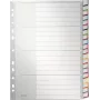 LEITZ A4 Separadores de plástico em branco extra largos, 20 partes, furação universal, branco translúcido 1278-00-00