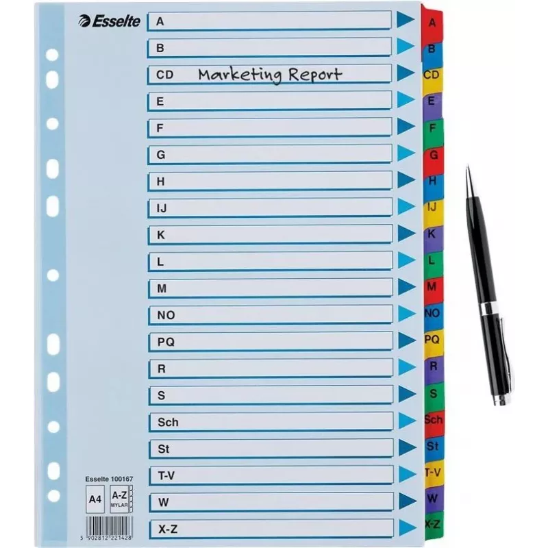 Esselte A4 Mylar Separadores com índice A-Z, 20 partes, multicolor (100167)