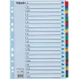 Esselte separador A4 Mylar A-Z, 20 partes, multicolor (100167)