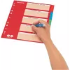 LEITZ Separador de Cartão, Abas Lisas, A4, 5 partes, Multicolor, 160 g/m², com Capa Rotulável Vermelha 250 g/m² (4386-60-00)