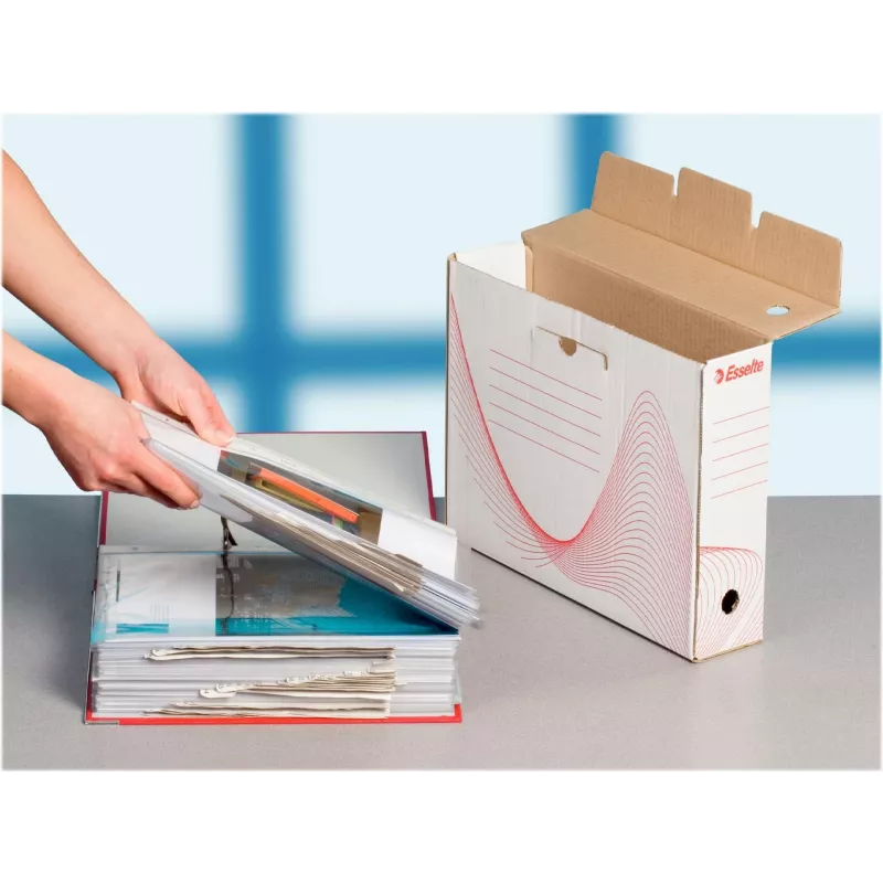 LEITZ Esselte Caixa de arquivo, lombada 100 mm, cartão canelado branco com linhas pré-impressas para organização (128201)