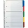 LEITZ Separador de Cartão Mylar, Liso, A4, 5 partes, Abas Cinzentas, 160 g/m², com Capa Rotulável 4320-00-00
