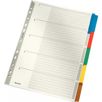 LEITZ Separador de Cartão Mylar, Liso, A4, 5 partes, Abas Cinzentas, 160 g/m², com Capa Rotulável 4320-00-00