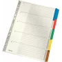 LEITZ Separador de Cartão Mylar, Liso, A4, 5 partes, Abas Cinzentas, 160 g/m², com Capa Rotulável 4320-00-00
