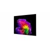 LG OLED83G61LW TV inteligente 83