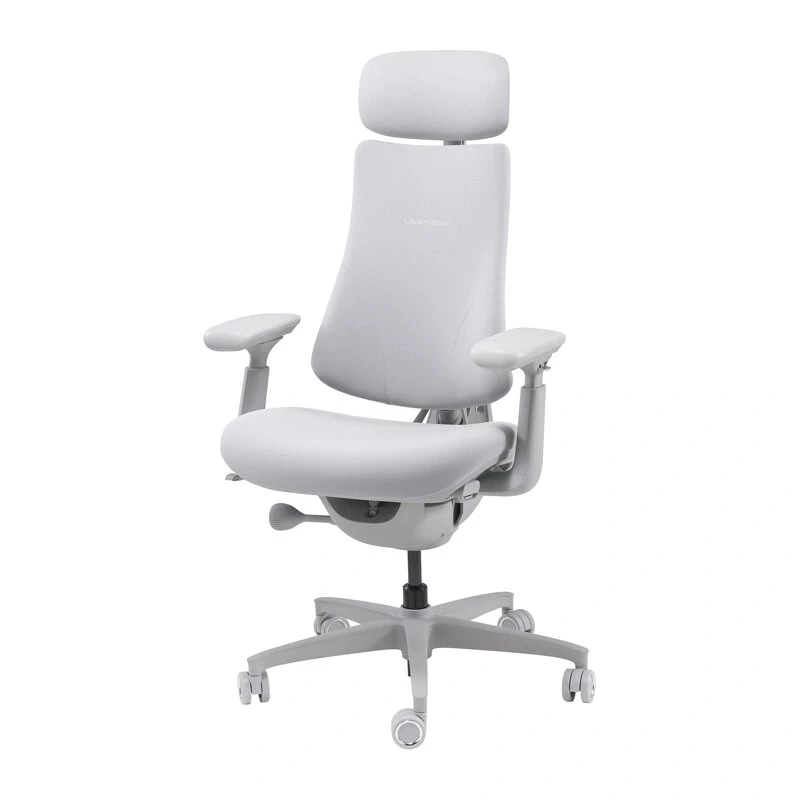 LiberNovo Omni Cadeira de escritório ergonómica dinâmica, Cinzento, Mesh, altura do assento 45 cm, braços ajustáveis 3D, capacidade 120 kg