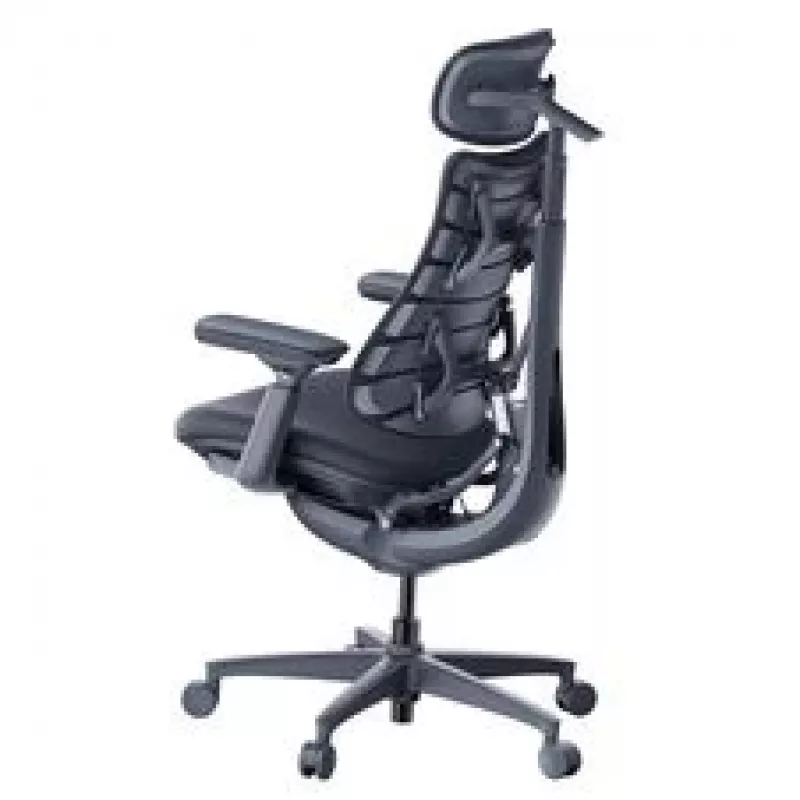 LiberNovo Omni Cadeira de escritório ergonómica com encosto ativo e função de massagem, preta